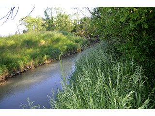 Property photo 36 - LAND AUCTION - 215+/- ACRES OFFERED IN 6 TRACTS IN VAN WERT COUNTY, OHIO
